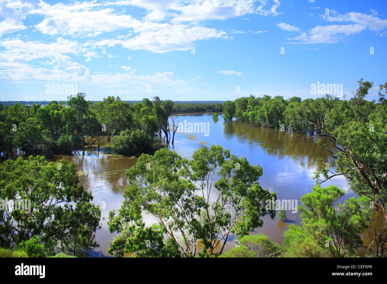 River Murray winds through South Australia Stock Photo