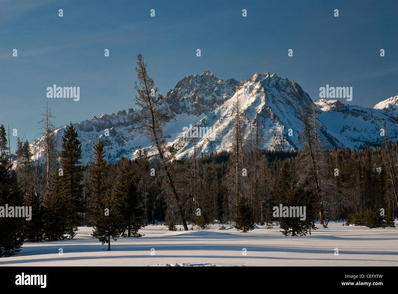 Forest and Mountains covered with snow in this Idaho Mountains scene Stock Photo
