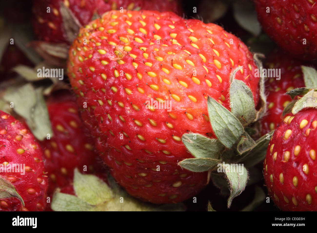 Fresh red strawberry for background Stock Photo - Alamy