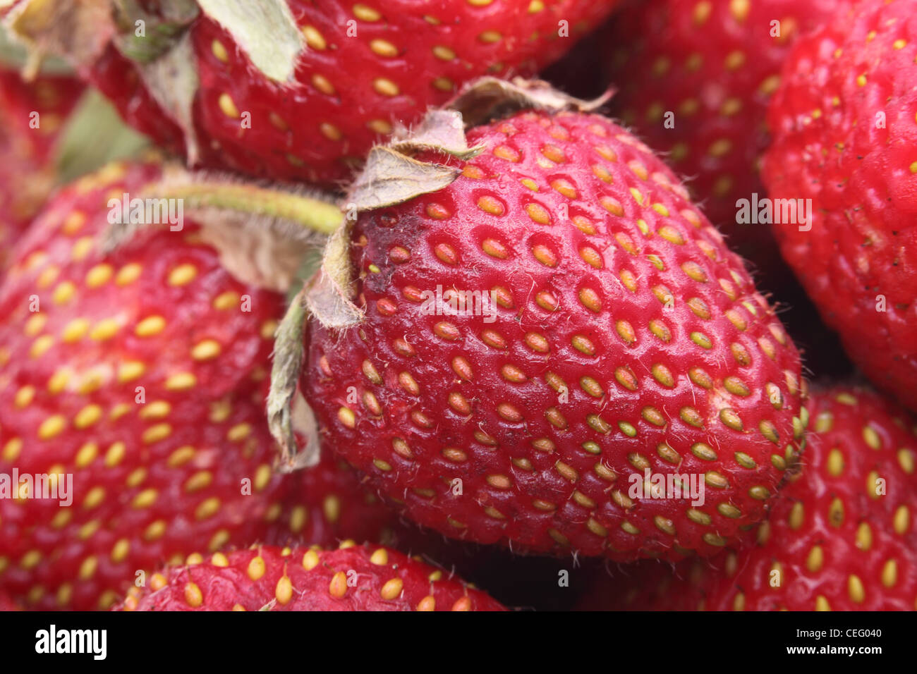 Fresh red strawberry for background Stock Photo - Alamy