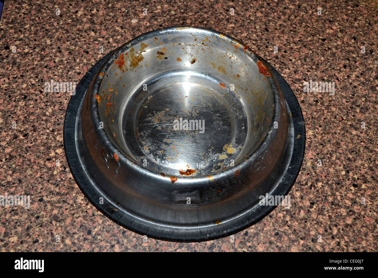 Empty dirty dog bowl Stock Photo Alamy