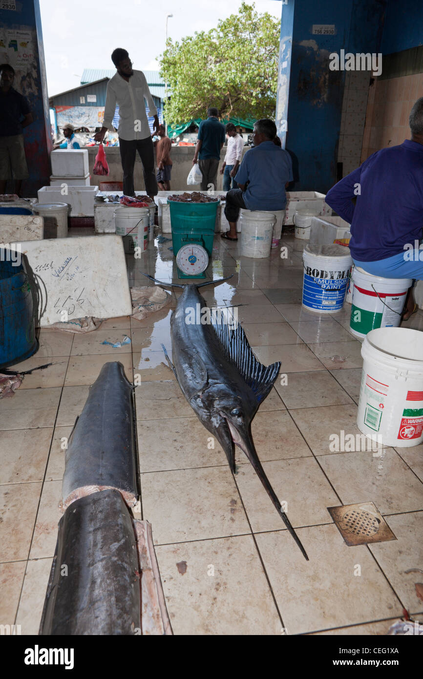 Fishmarket of Male, Indian Ocean, Maldives Stock Photo