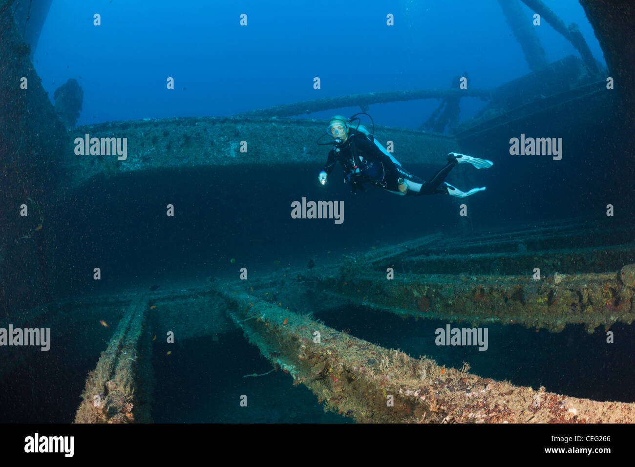 Scuba Diver discover Radio at Maldive Victory Wreck, North Male Atoll,  Indian Ocean, Maldives Stock Photo - Alamy