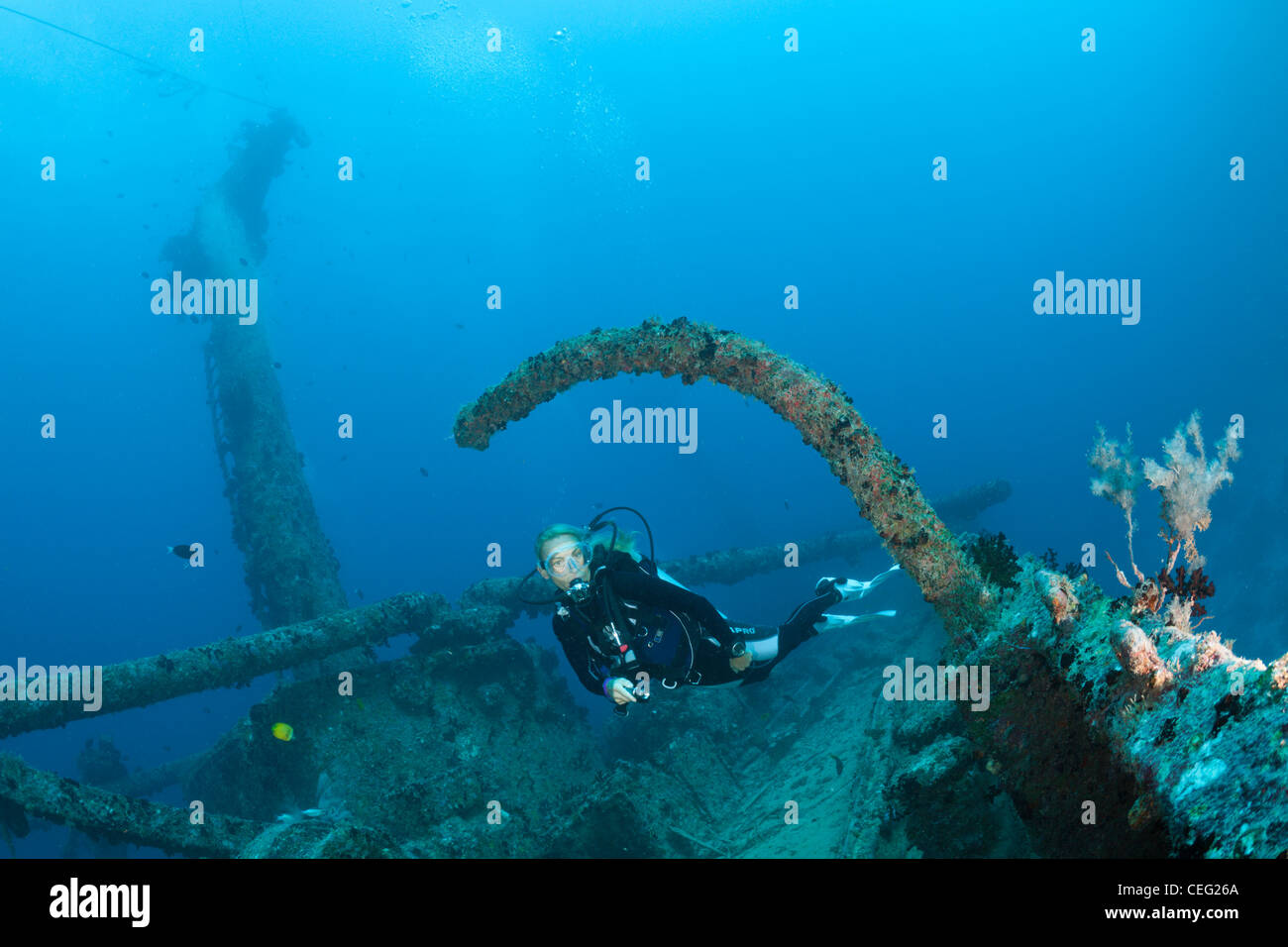Scuba Diver at Maldive Victory Wreck, North Male Atoll, Indian Ocean