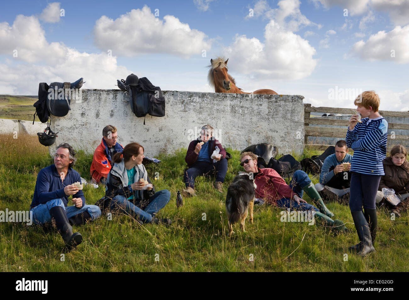 Horse riding in Southern Iceland. Resting at the sheep pens at Hrunarettir. Stock Photo