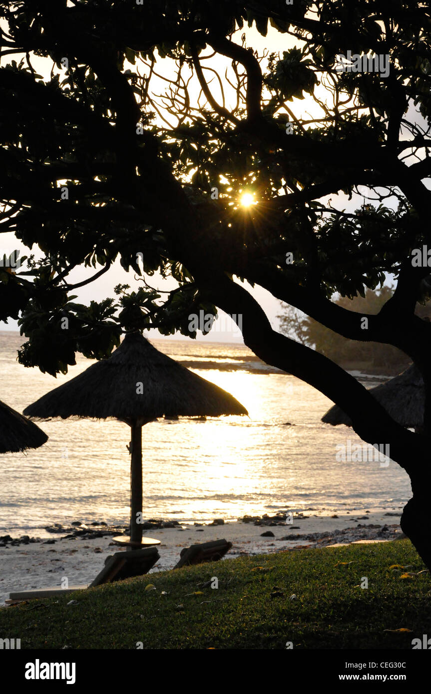Silhouettes sub tropical sun lit sea exotic location Stock Photo