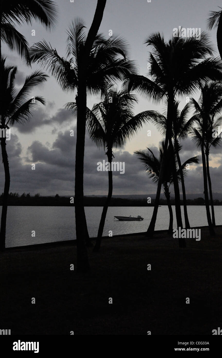 Palms in Silhouette with boat and sea at dusk Stock Photo - Alamy