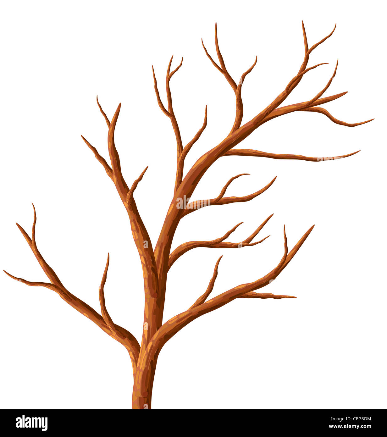 cartoon tree without leaves
