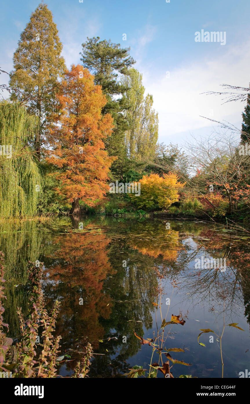 English park in autumn. Lake and trees Stock Photo