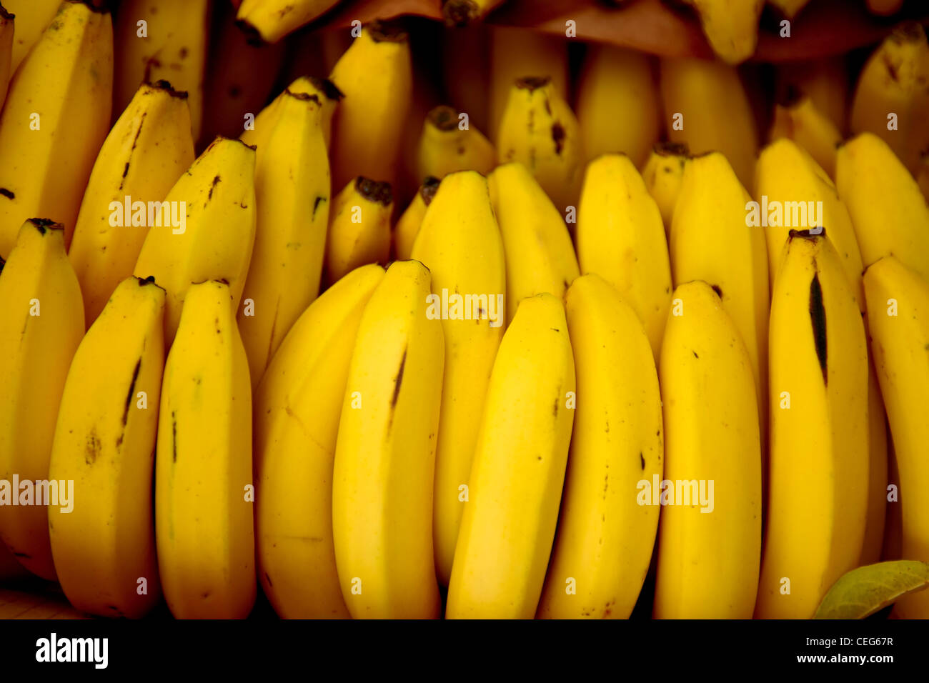 a bunch of bananas at a farmer's market Stock Photo