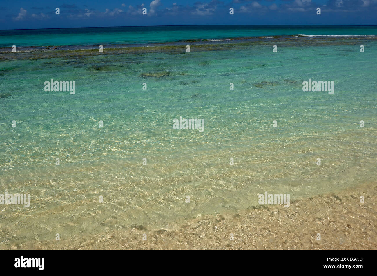 beach on Grand Cayman Island Stock Photo - Alamy