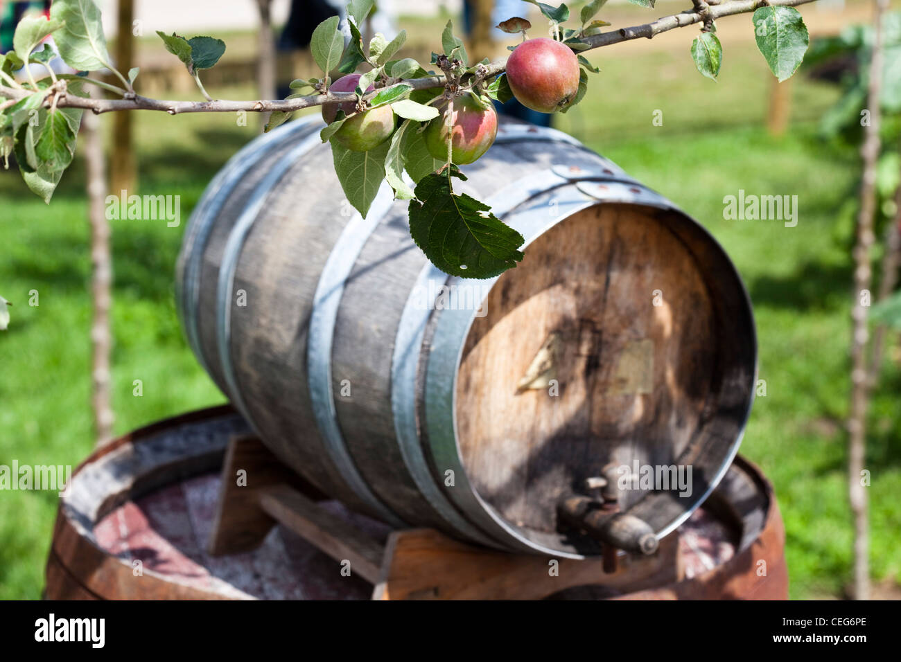 Apple cider barrel hires stock photography and images Alamy