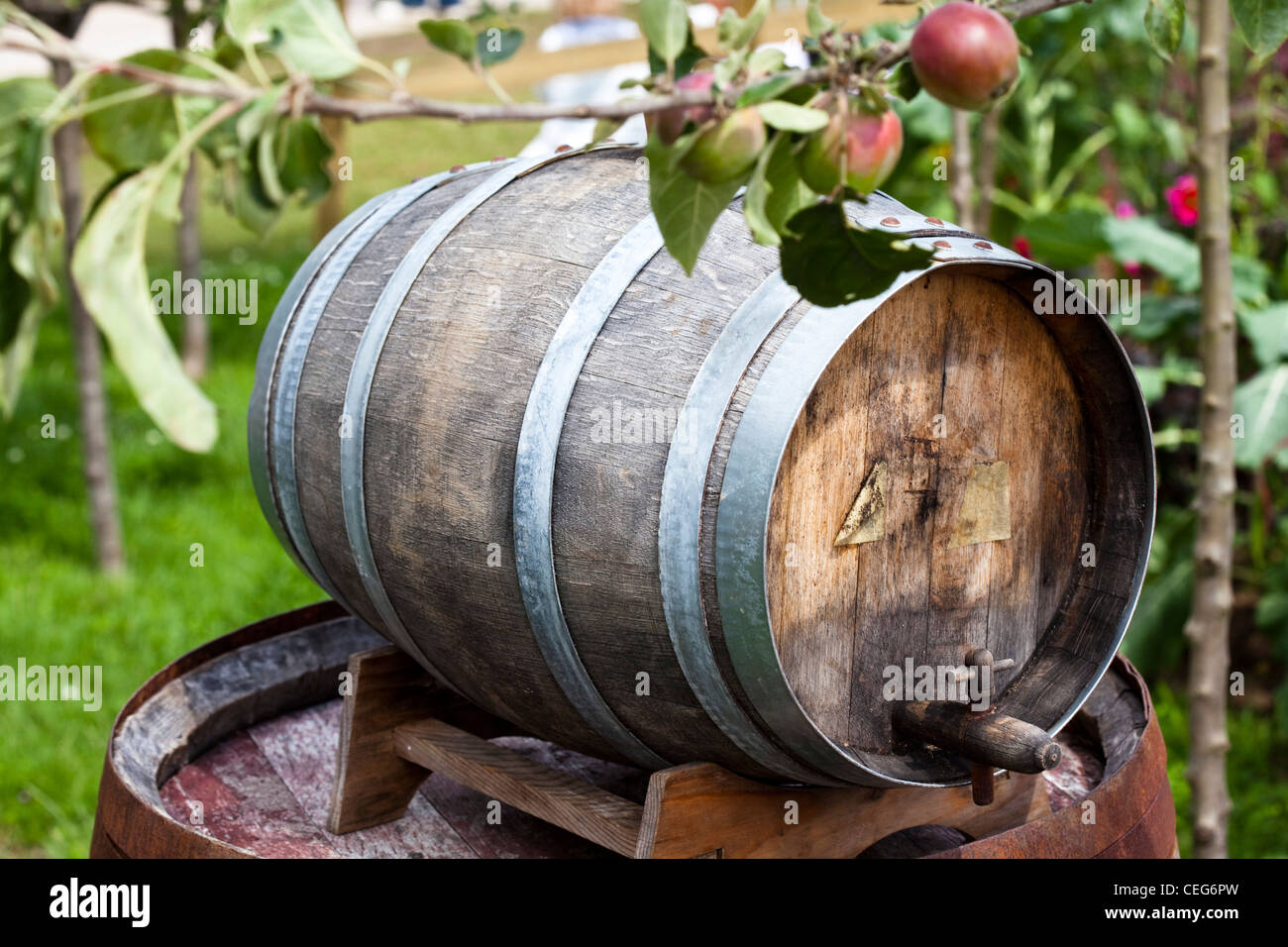 Traditional cider keg under an apple tree in Hampton Court Flower Show Stock Photo