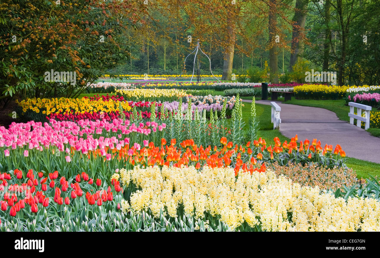 Spring Fields April Spring flower fields on sunny hi-res stock photography and images - Alamy