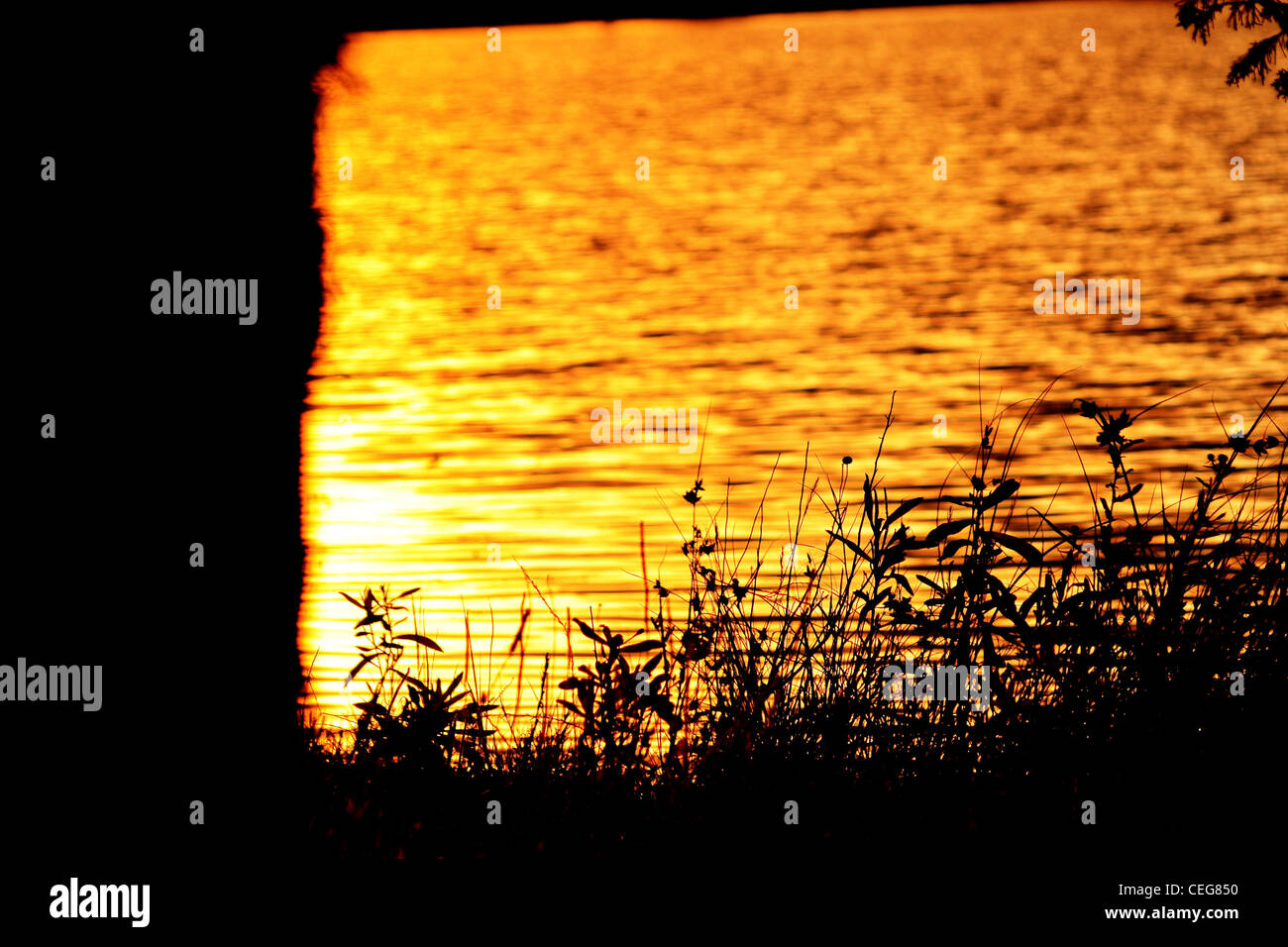 Grass glow hi-res stock photography and images - Alamy