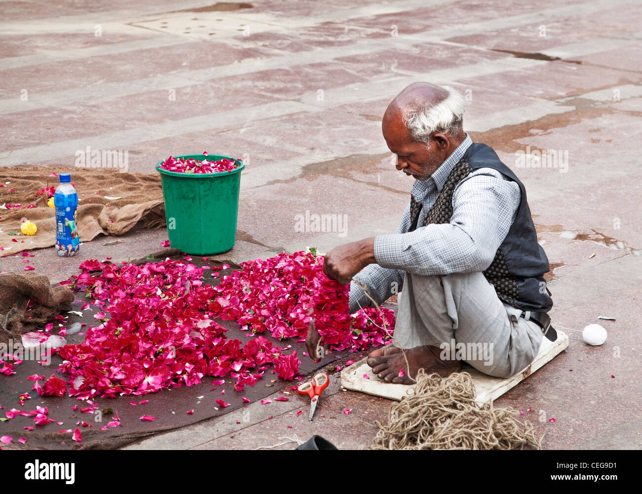 Street seller in New Delhi, India, preparing rose petals for garlands for Hindu worshipers at a nearly temple Stock Photo
