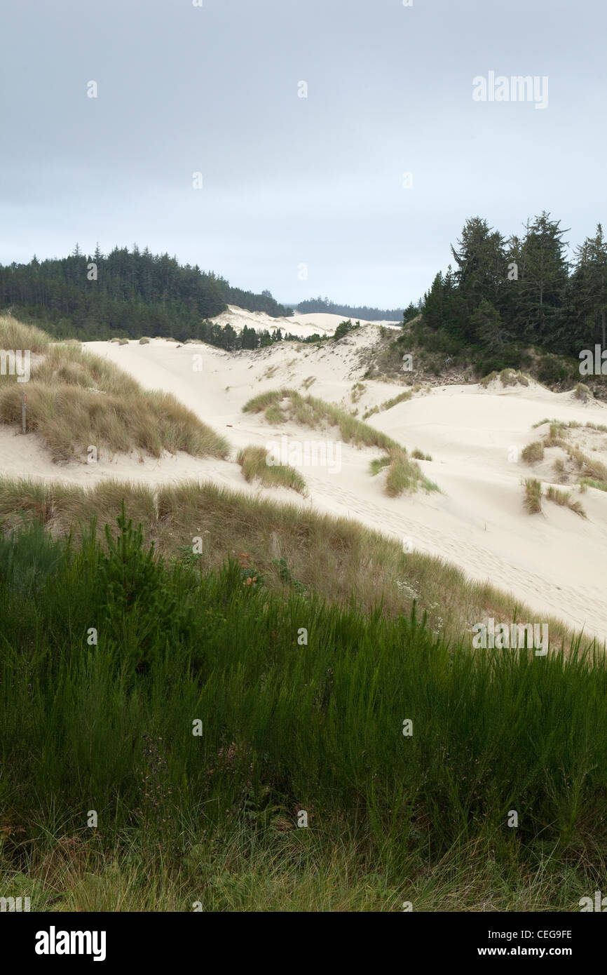 Oregon dunes hires stock photography and images Alamy