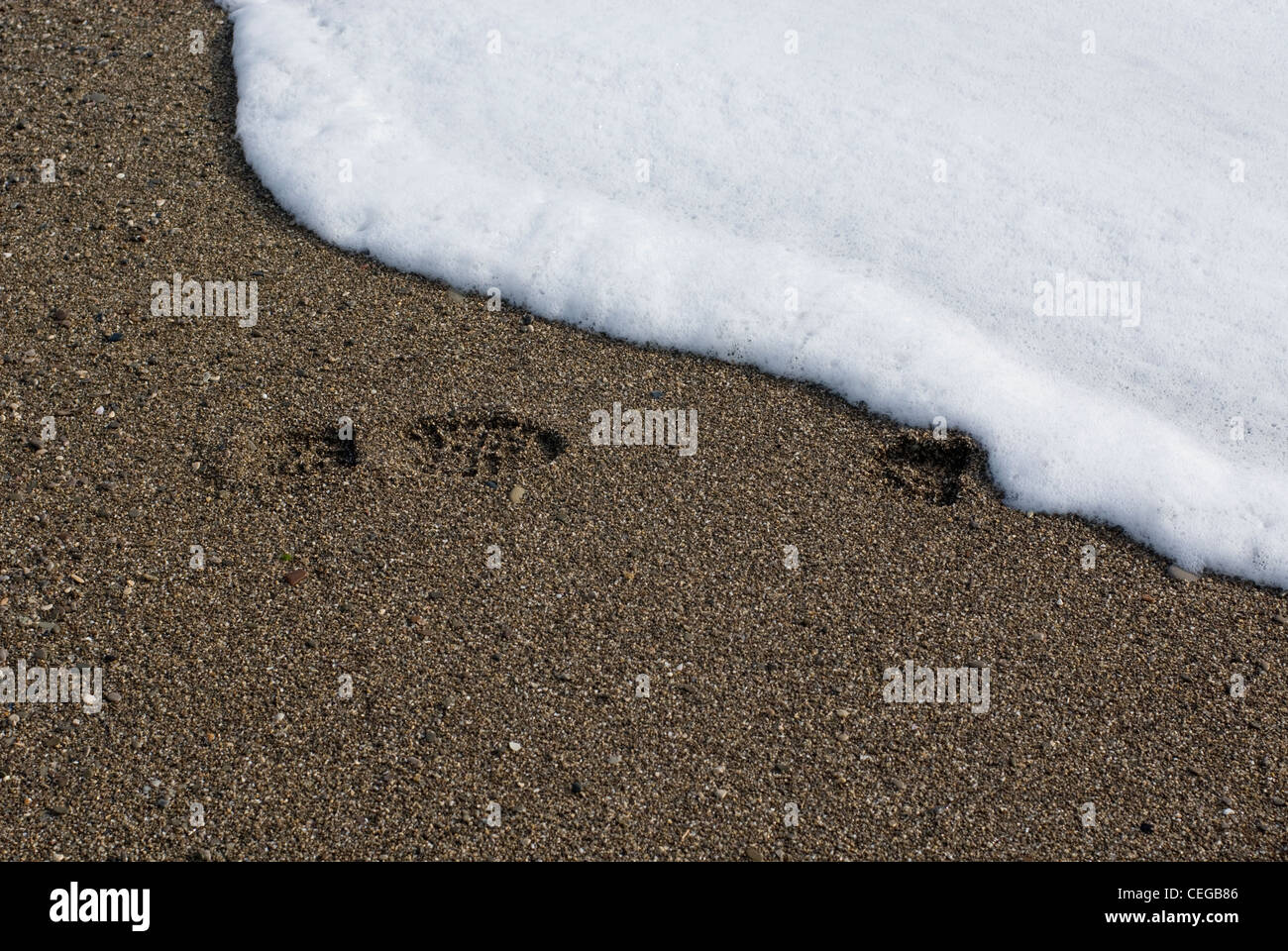 Footprints on the sand with waves washing them away Stock Photo