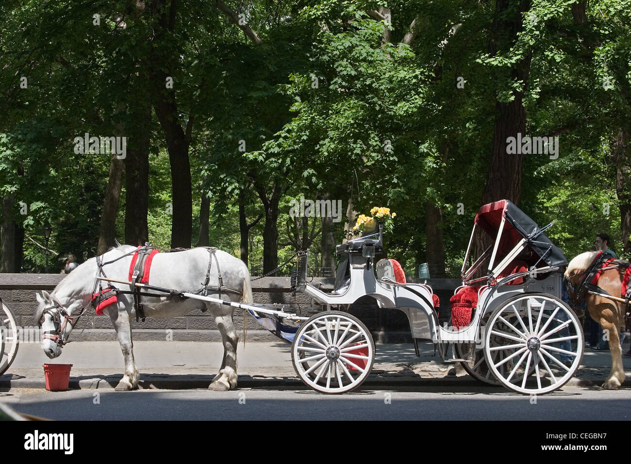 Horse chariot near Central Park New York City Stock Photo