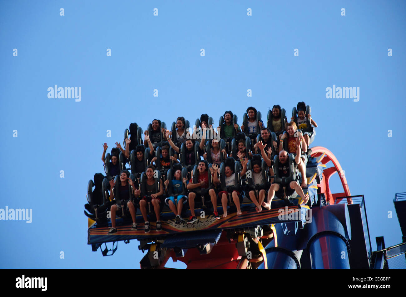 busch gardens tampa florida sheikra diving roller coaster Stock Photo