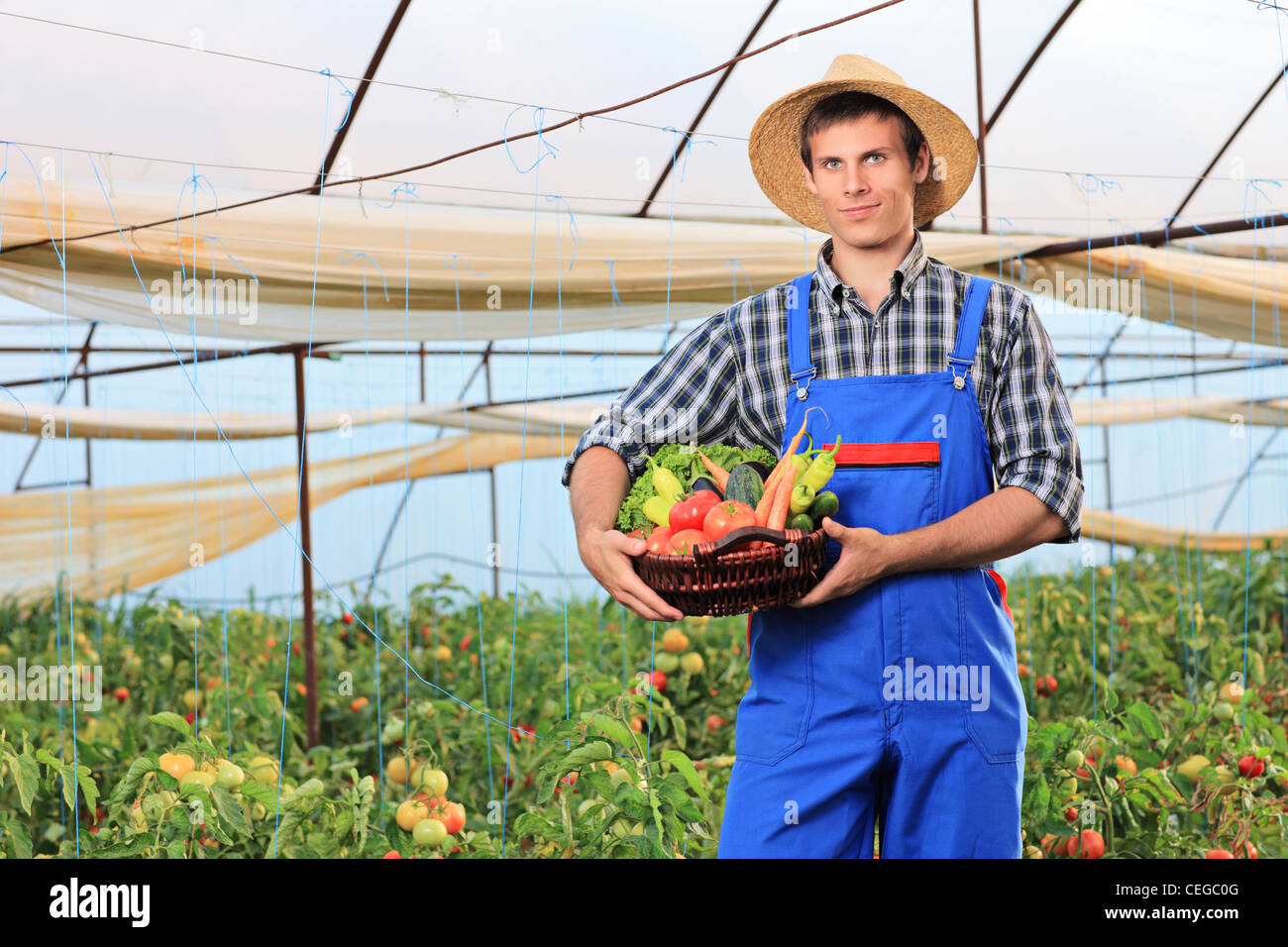 A smiling gardener holding a basket full of vegetables in a tomato ...