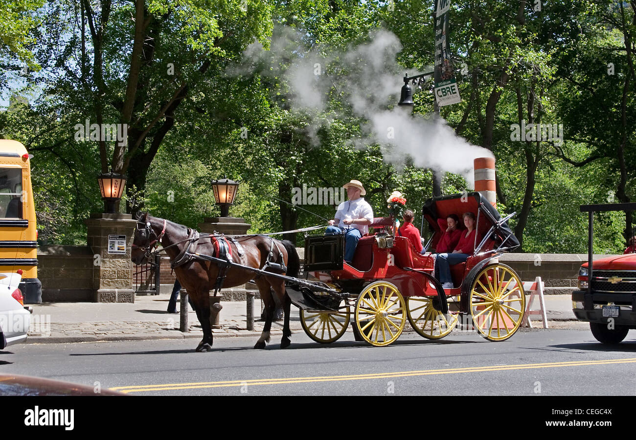 Chariot in front of Central Park, New York City Stock Photo