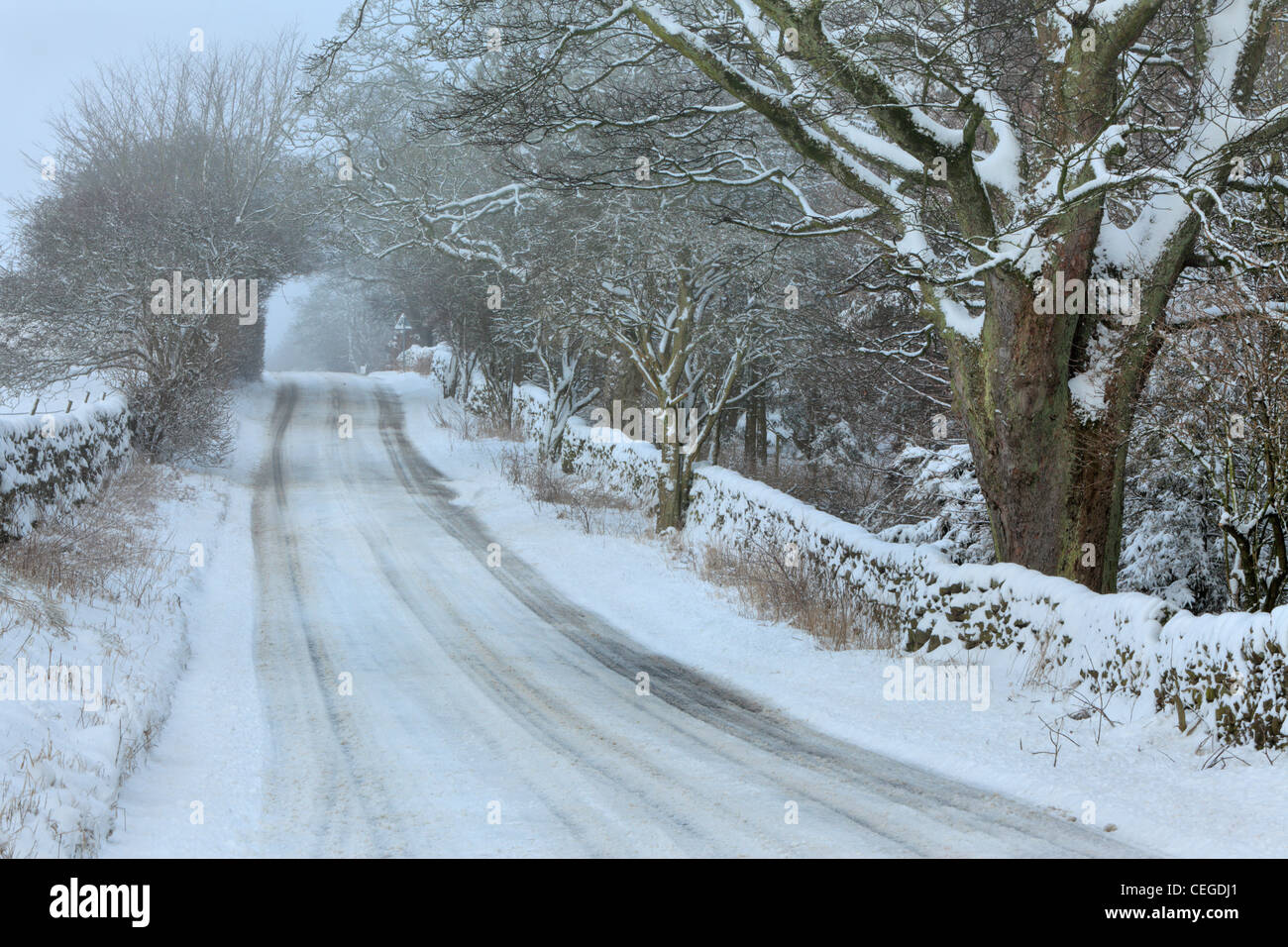 Snow covers the road and trees near Barden, Wharfedale, Yorkshire on a winter morning Stock Photo