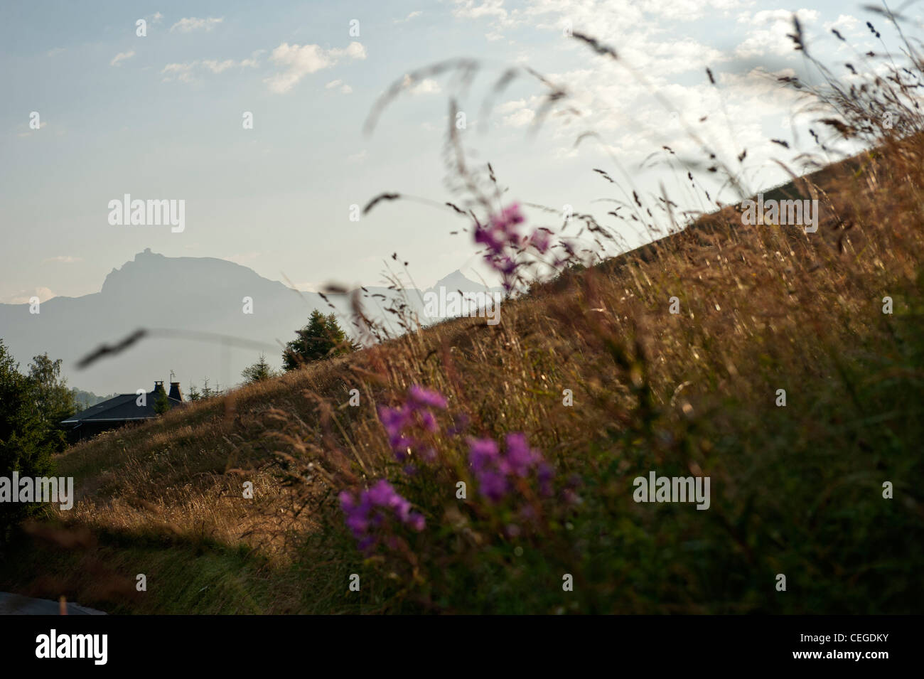 countryside near Megève valley. Haute-Savoie department. Rhône-Alpes region. France Stock Photo