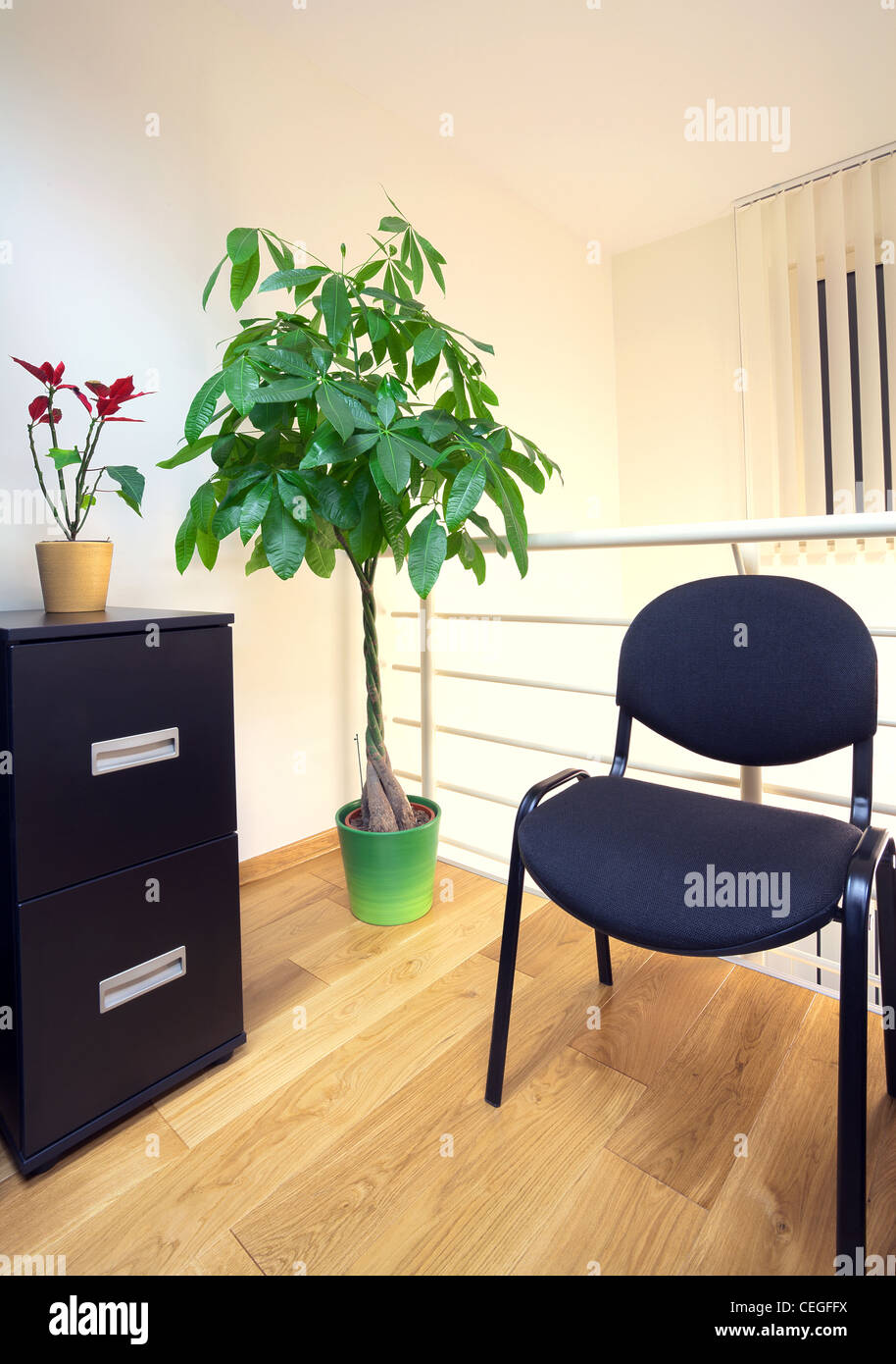 Interior of an office, modern and simple design Stock Photo - Alamy