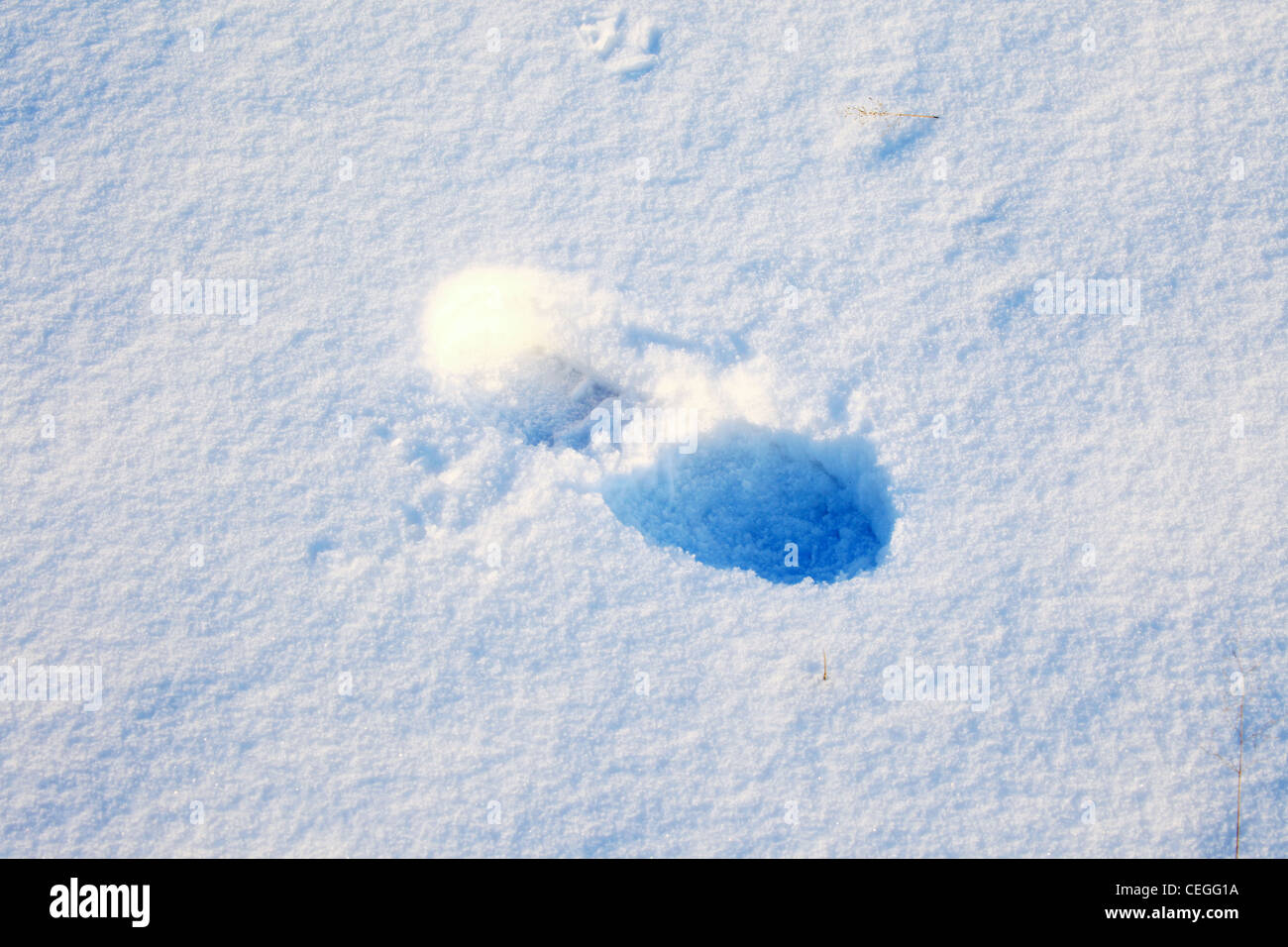 Single footprint in the now Stock Photo
