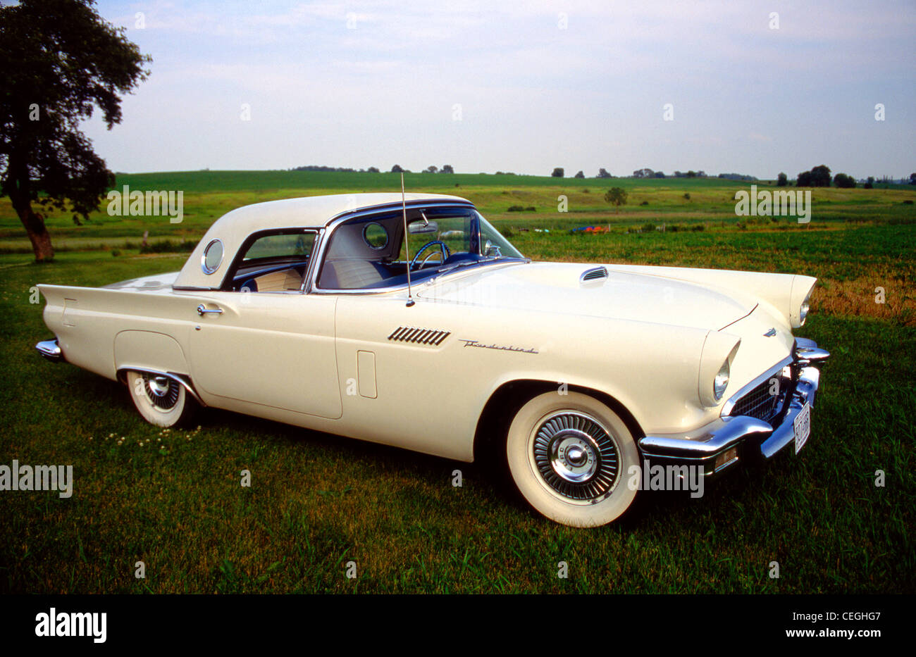 Ford thunderbird 1950s hi-res stock photography and images - Alamy
