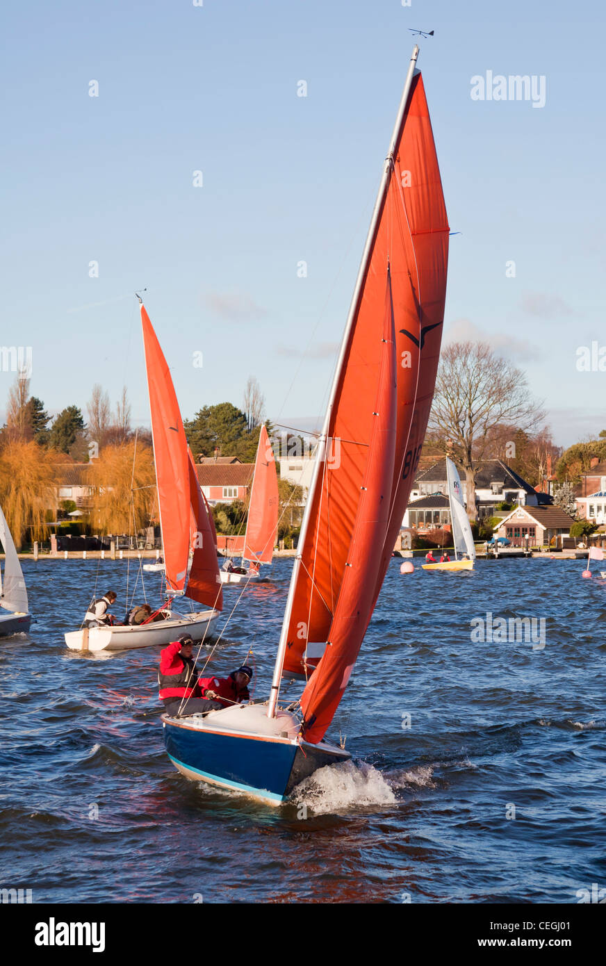 Sailing dinghy racing on Oulton broad. Stock Photo