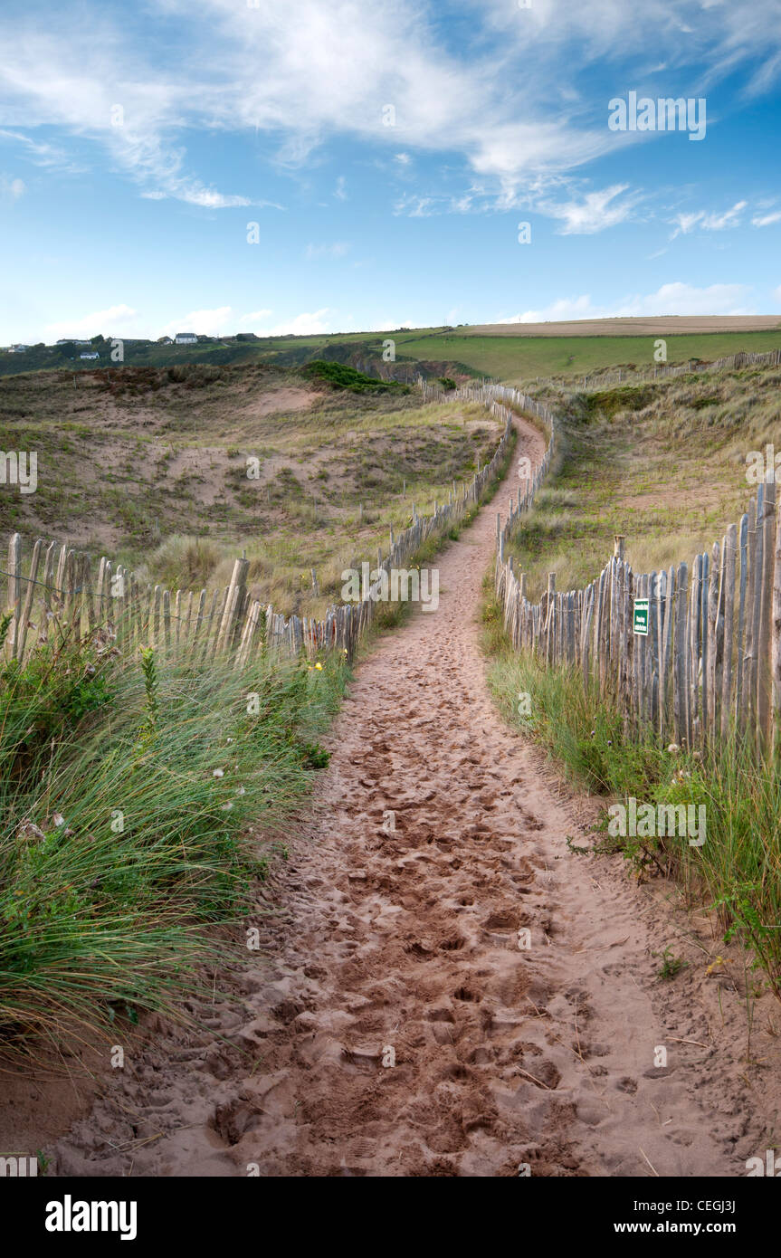Devon pathway hi-res stock photography and images - Alamy