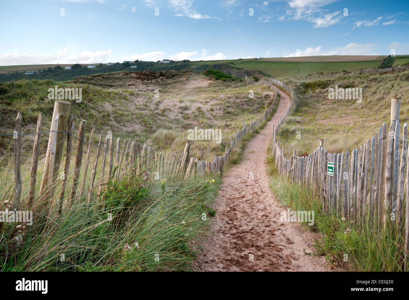 Devon pathway hi-res stock photography and images - Alamy