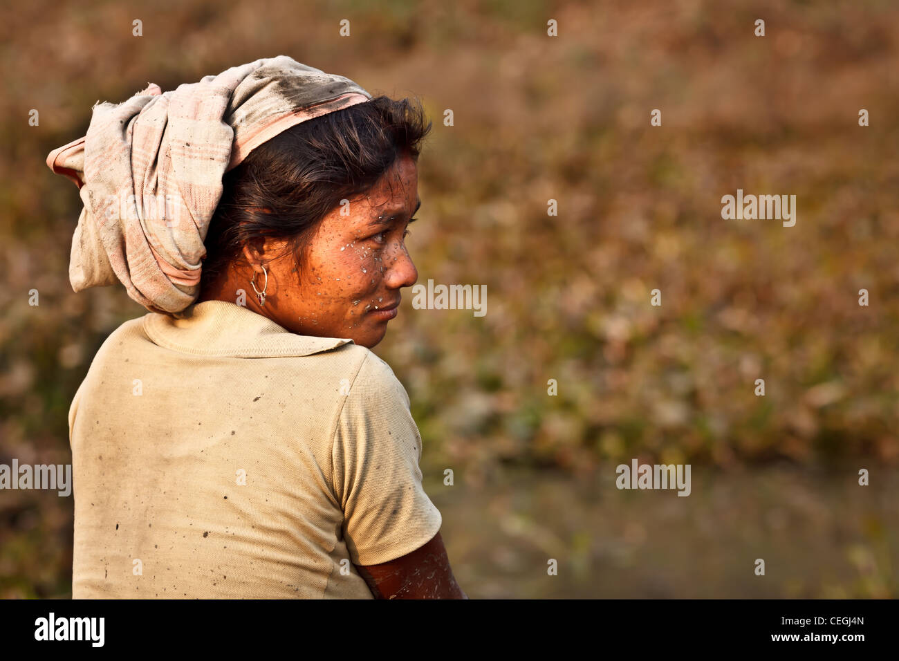 Woman from the Mishing tribe wearing a Assamese scarf, Majuli Island, Assam, India Stock Photo