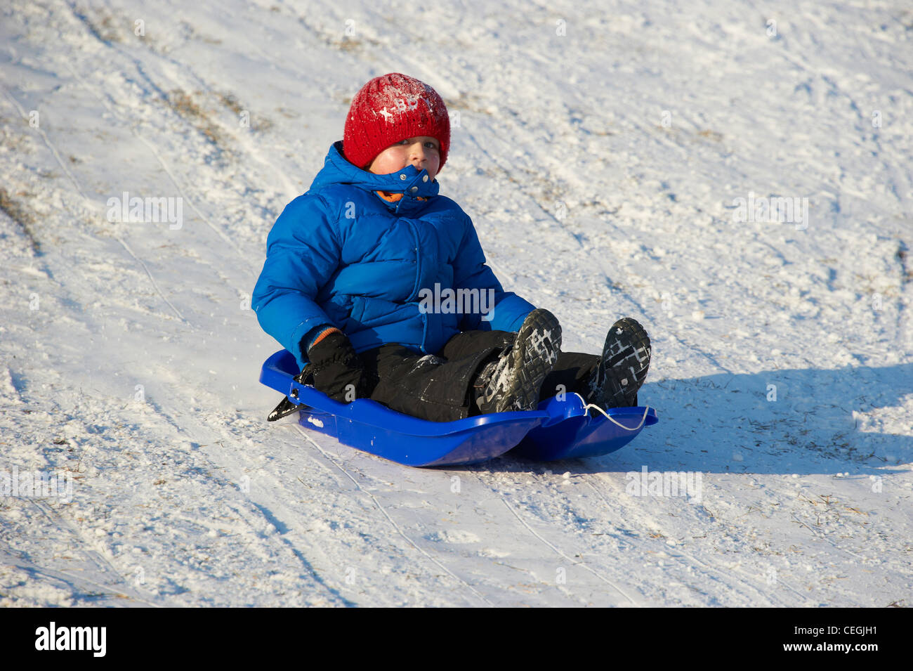 A child little boy sledding downhill winter Stock Photo Alamy