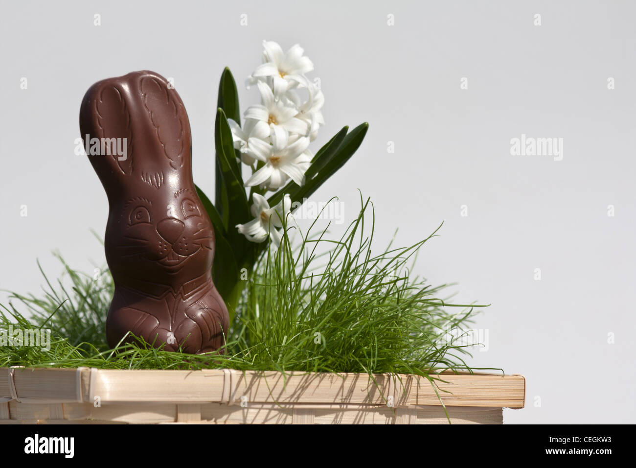 Happy Easter chocolate Bunny unwrapped one sweets sweet with Spring season time nobody none front view horizontal hi-res Stock Photo
