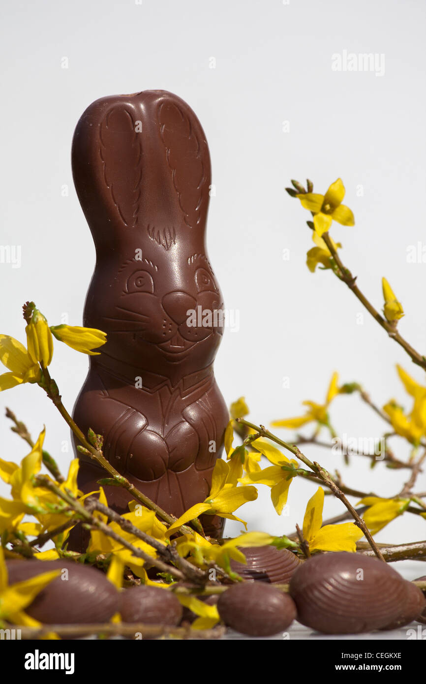 Happy Easter chocolate Bunny unwrapped one sweets sweet Spring   front view nobody closeup close up on white backgrou Stock Photo