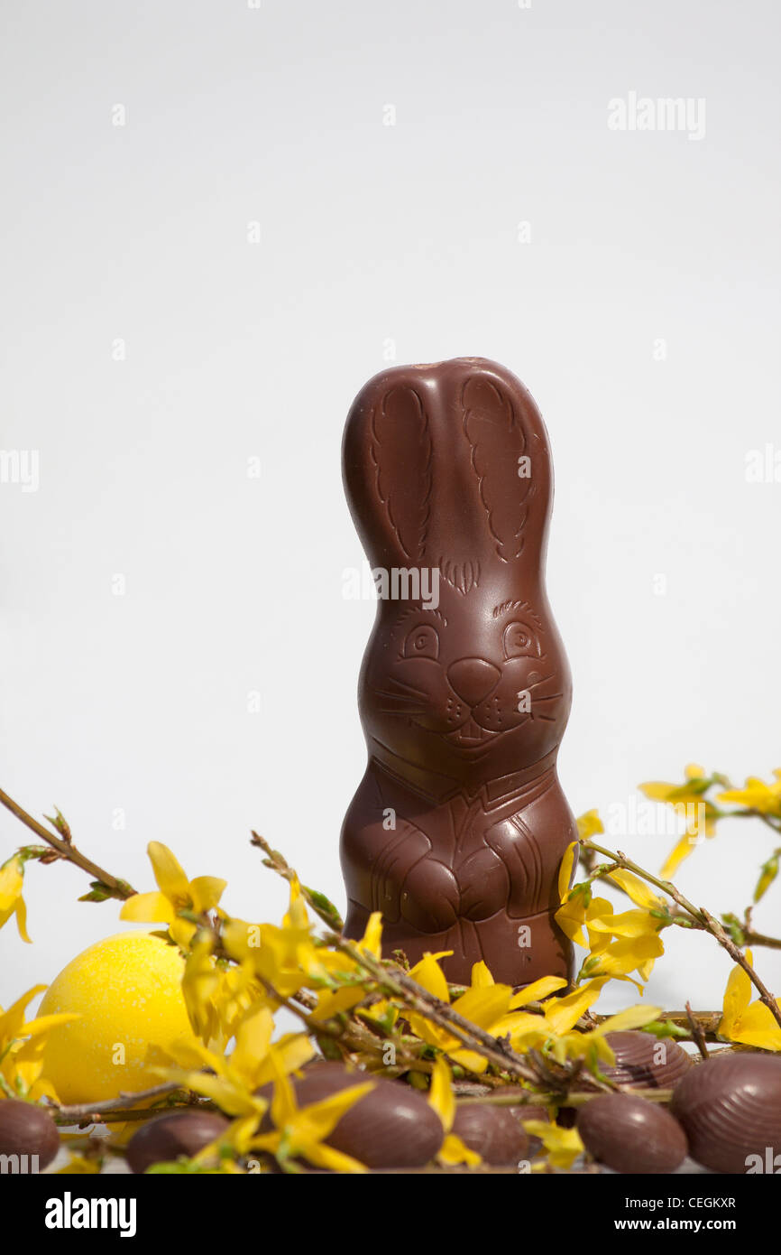 Happy Easter chocolate Bunny unwrapped sweets sweet Spring and one egg nobody closeup close up on white background hi-res Stock Photo