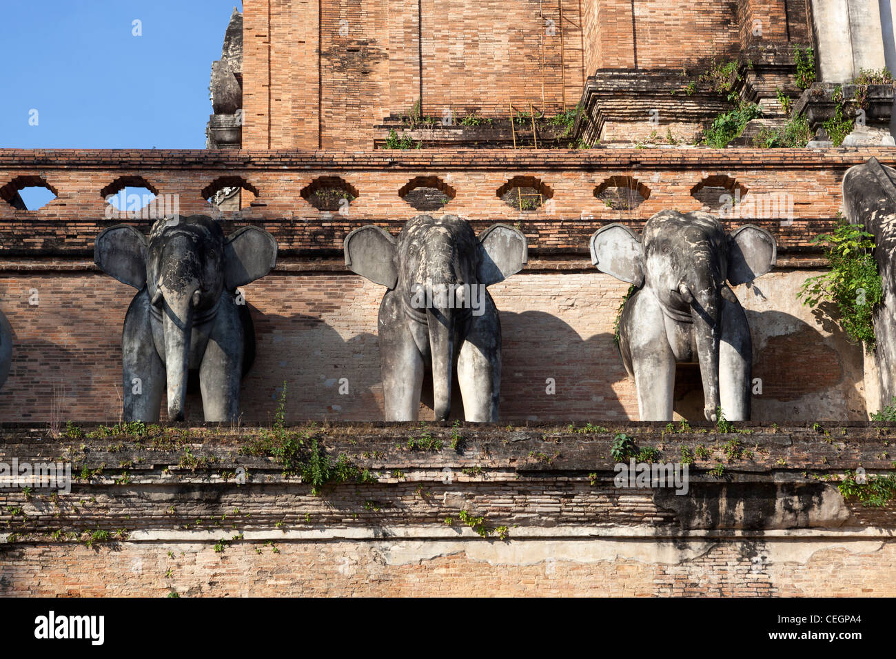 Stone Elephants Wat Chedi Luang Temple Chiang Mai Stock Photo