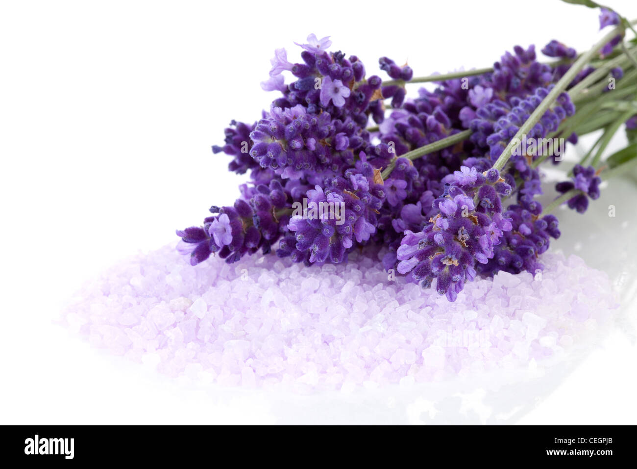 Lavender flowers bath salt over hires stock photography and images Alamy