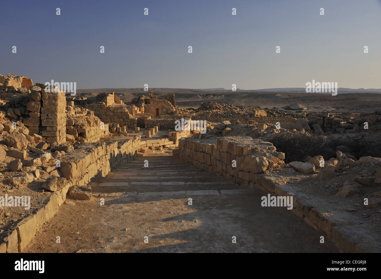 Old street in Shivta Sobota, an archeological site in the Negev Desert of Israel Stock Photo