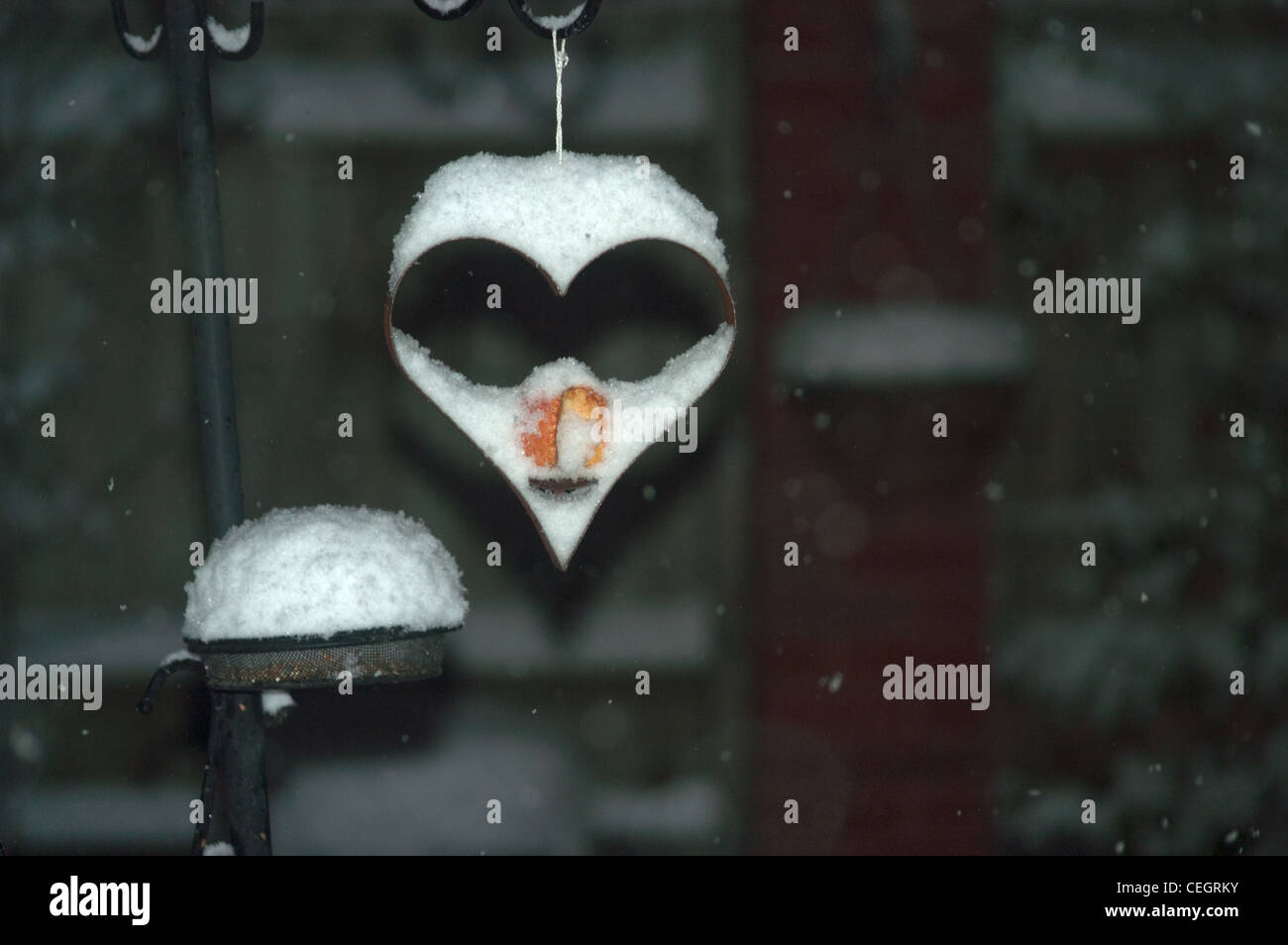 Heart Shape Bird Feeder Stock Photos Heart Shape Bird Feeder