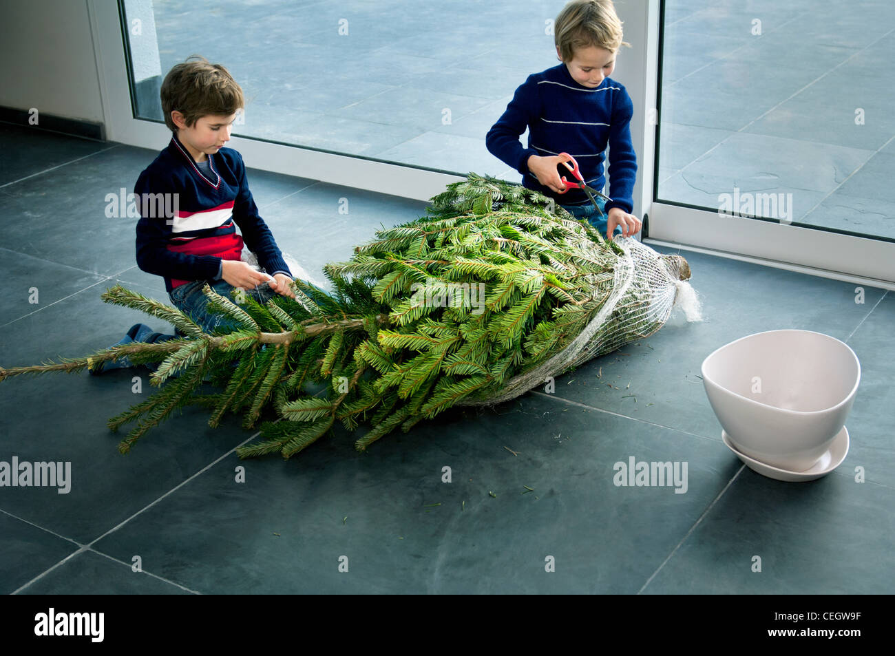 Boys preparing Christmas tree at home Stock Photo Alamy