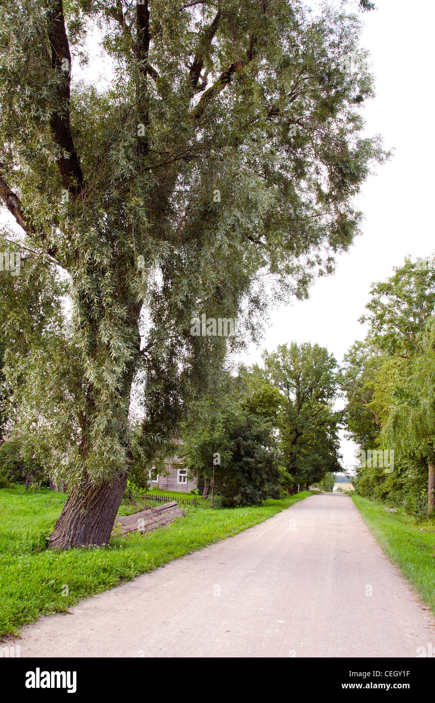 Gravel road perspective hi-res stock photography and images - Alamy