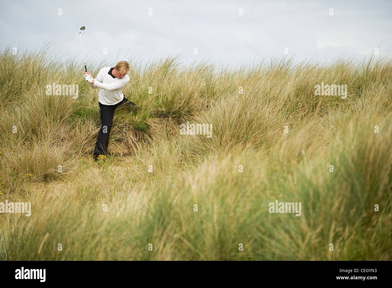 A golfplayer in the rough. Stock Photo