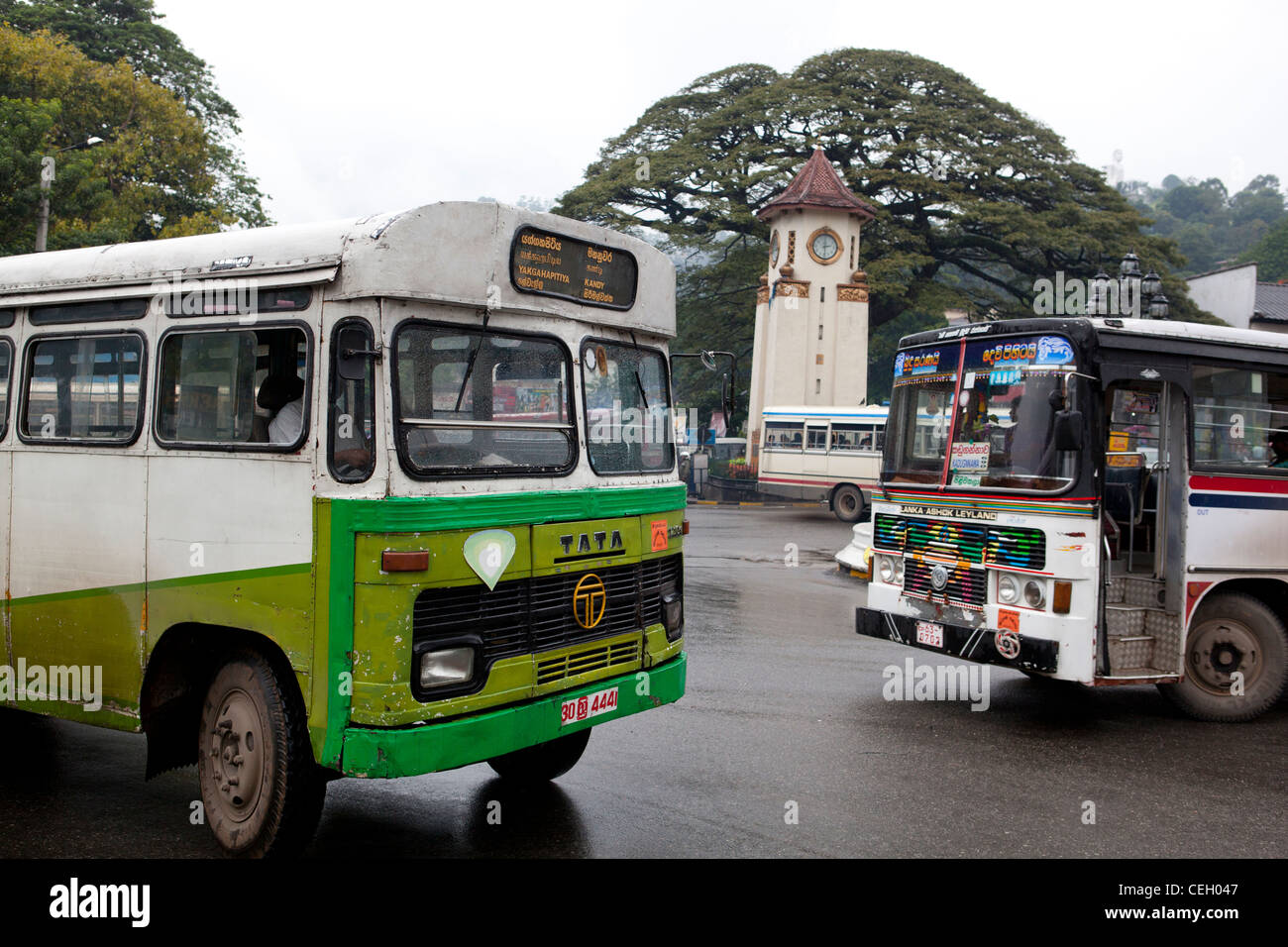 Local buses Clock Tower Kandy  Sri Lanka Asia Stock Photo