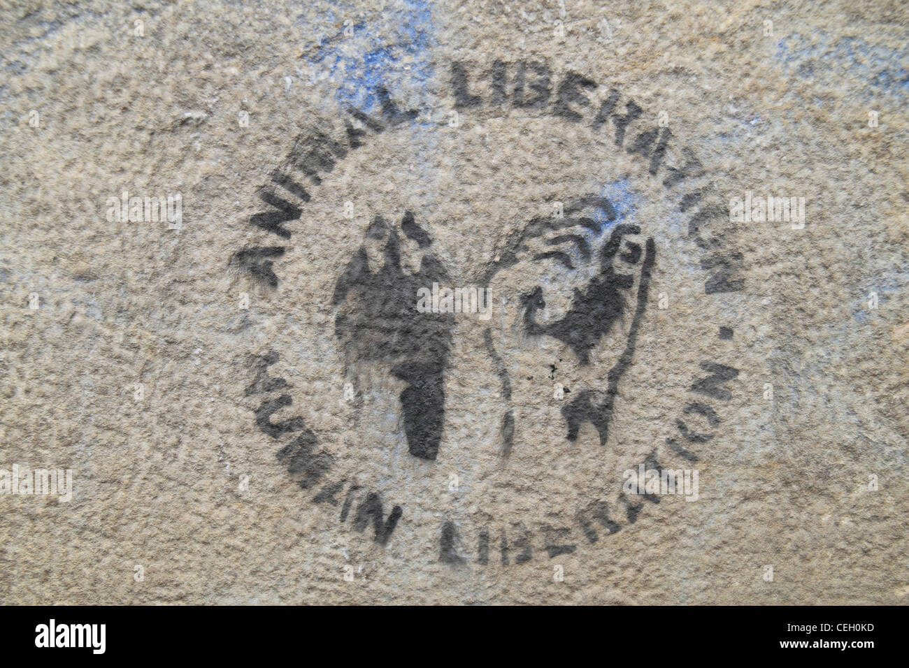 An animal liberation graffiti tag in Luxembourg city, the Grand Duchy Luxembourg. Stock Photo