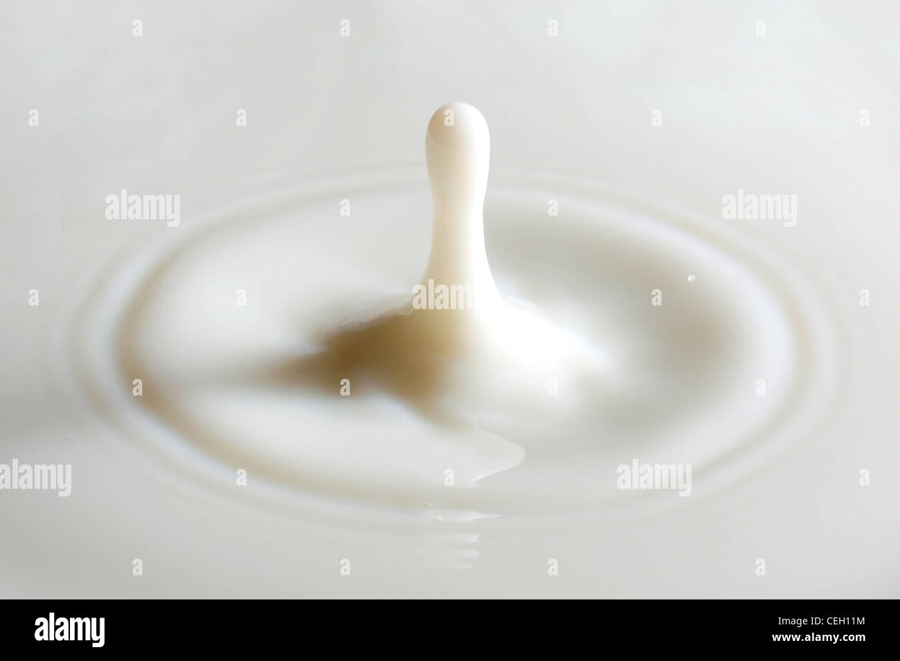 Milk splashing Stock Photo