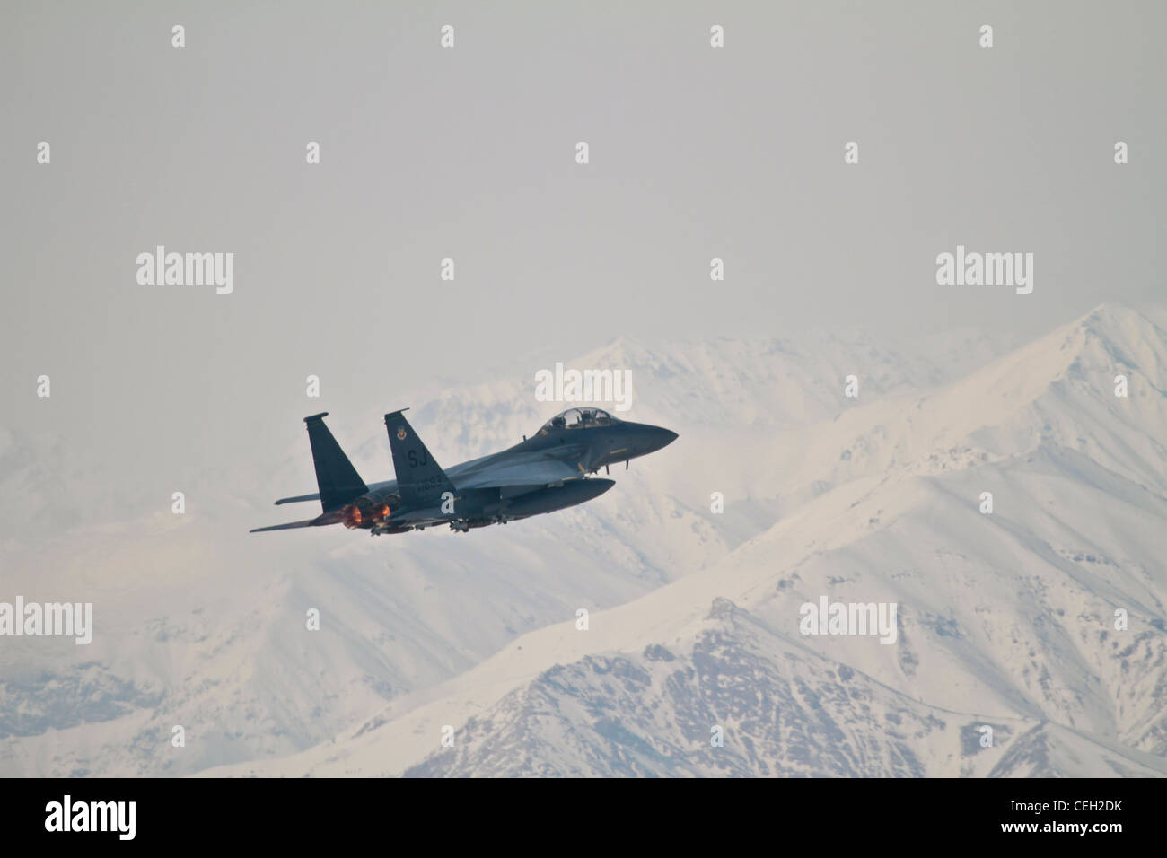 A U.S. Air Force F-15E Strike Eagle from the 335th Expeditionary ...